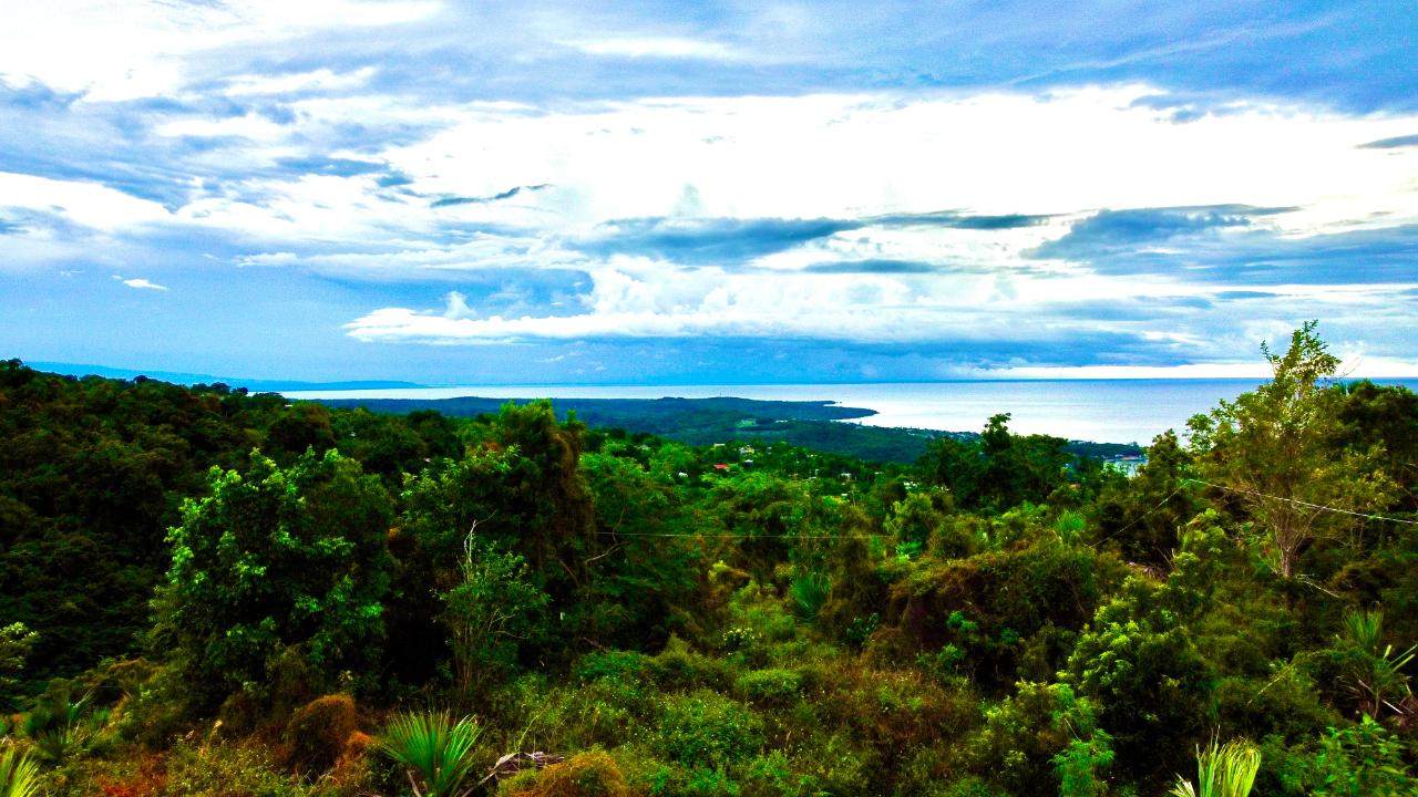 Second image of 187 Culloden in White House WD, Westmoreland, Jamaica - property is For Sale