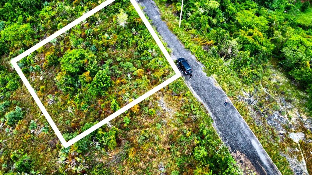 Twelfth image of 187 Culloden in White House WD, Westmoreland, Jamaica - property is For Sale