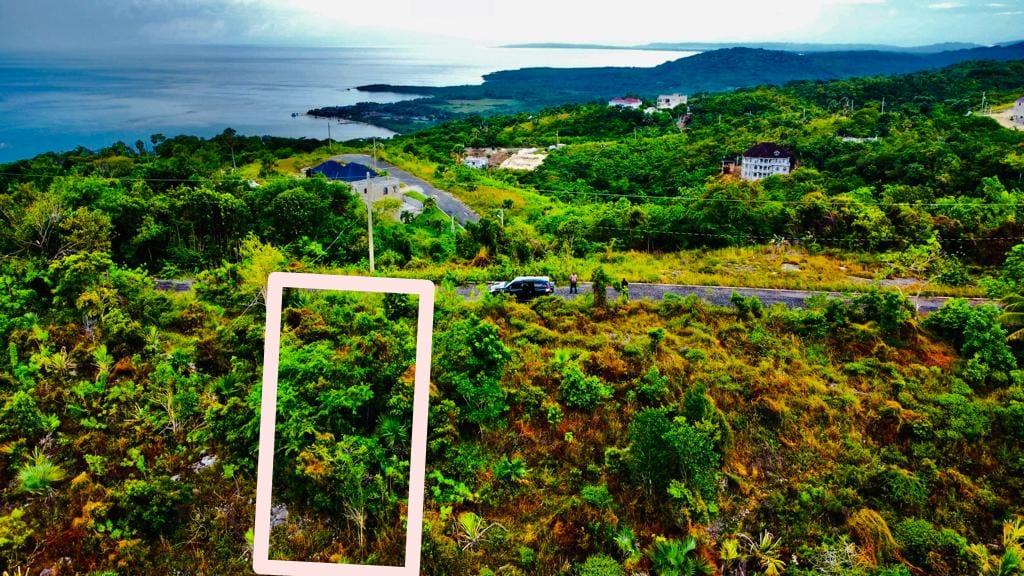 Third image of 187 Culloden in White House WD, Westmoreland, Jamaica - property is For Sale