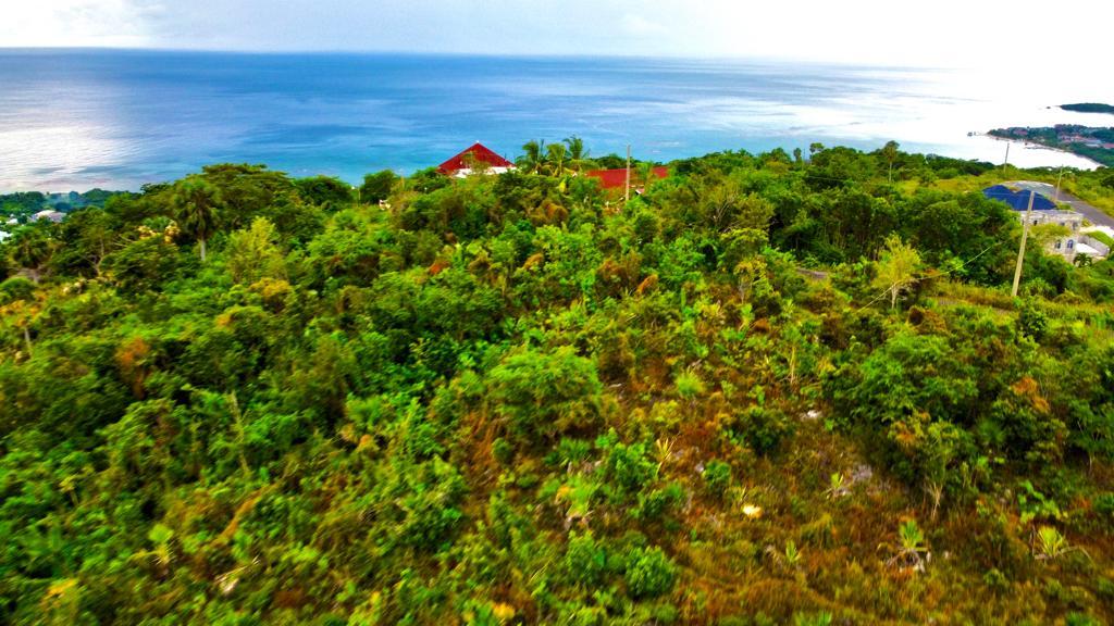 Fourth image of 187 Culloden in White House WD, Westmoreland, Jamaica - property is For Sale