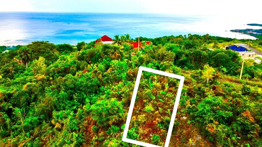 Fifth image of 187 Culloden in White House WD, Westmoreland, Jamaica - property is For Sale