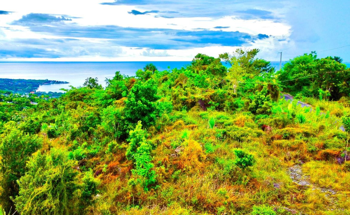 Sixth image of 187 Culloden in White House WD, Westmoreland, Jamaica - property is For Sale