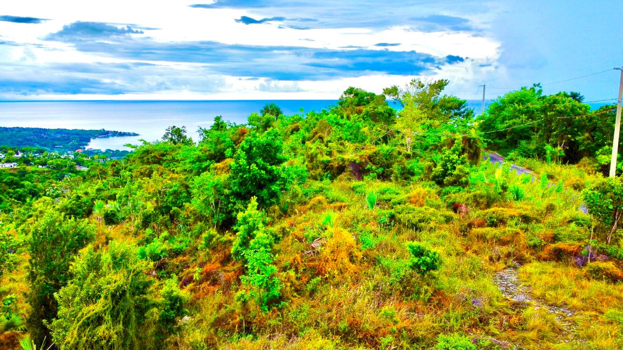 Sixth image of 187 Culloden in White House WD, Westmoreland, Jamaica - property is For Sale