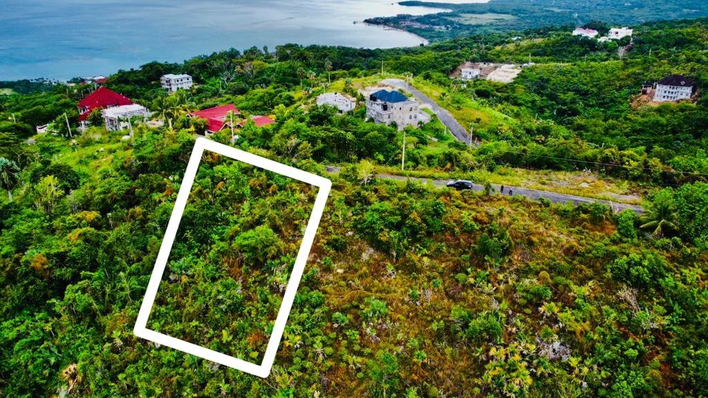 Seventh image of 187 Culloden in White House WD, Westmoreland, Jamaica - property is For Sale