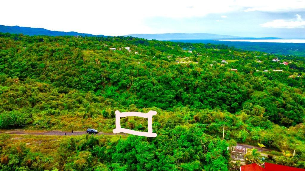 Eighth image of 187 Culloden in White House WD, Westmoreland, Jamaica - property is For Sale
