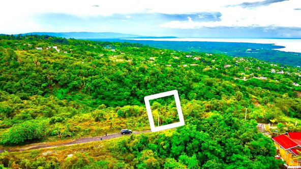 Ninth image of 187 Culloden in White House WD, Westmoreland, Jamaica - property is For Sale