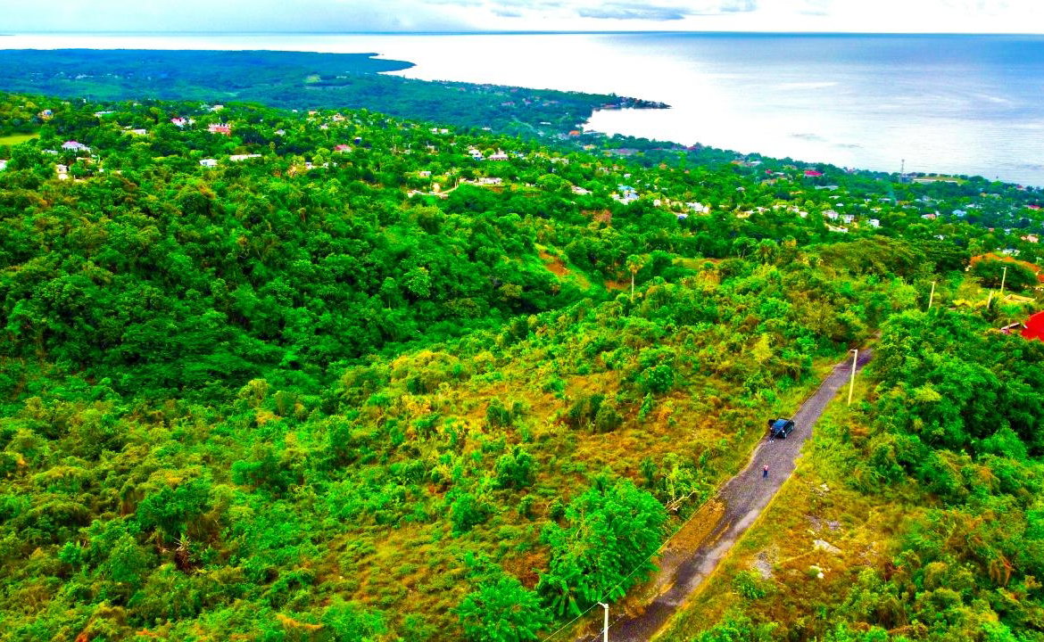 Tenth image of 187 Culloden in White House WD, Westmoreland, Jamaica - property is For Sale