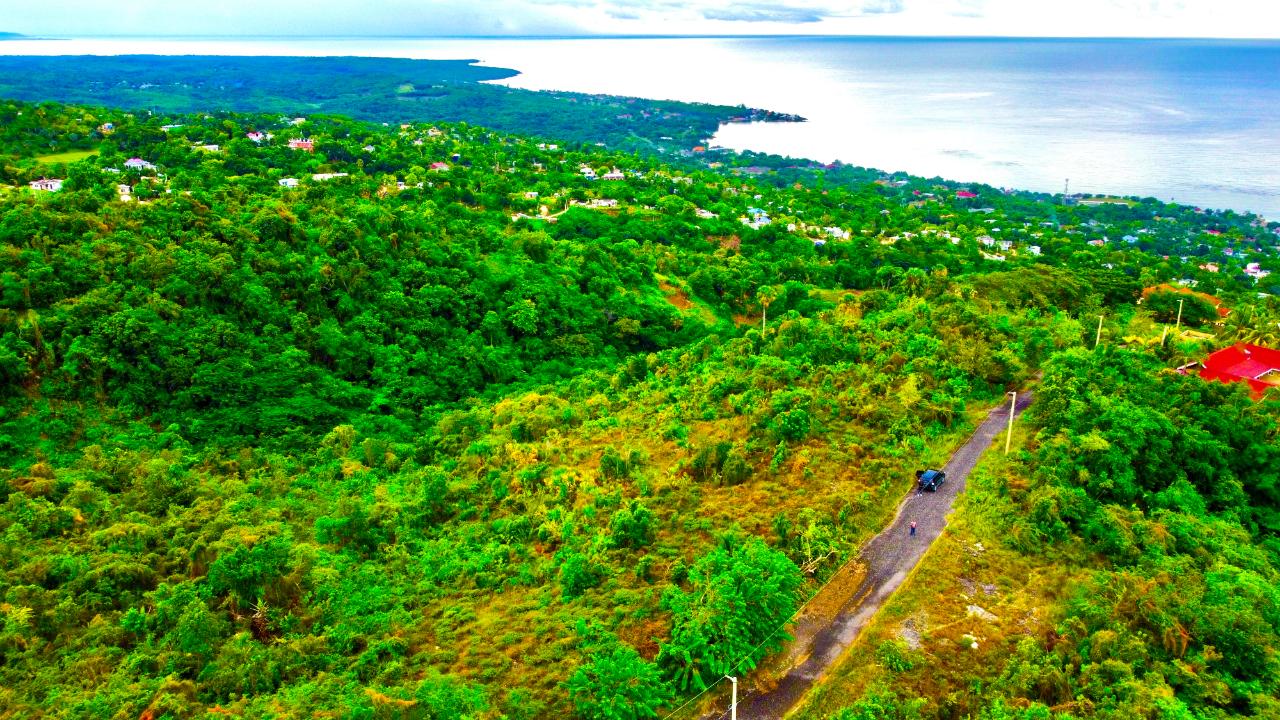 Tenth image of 187 Culloden in White House WD, Westmoreland, Jamaica - property is For Sale
