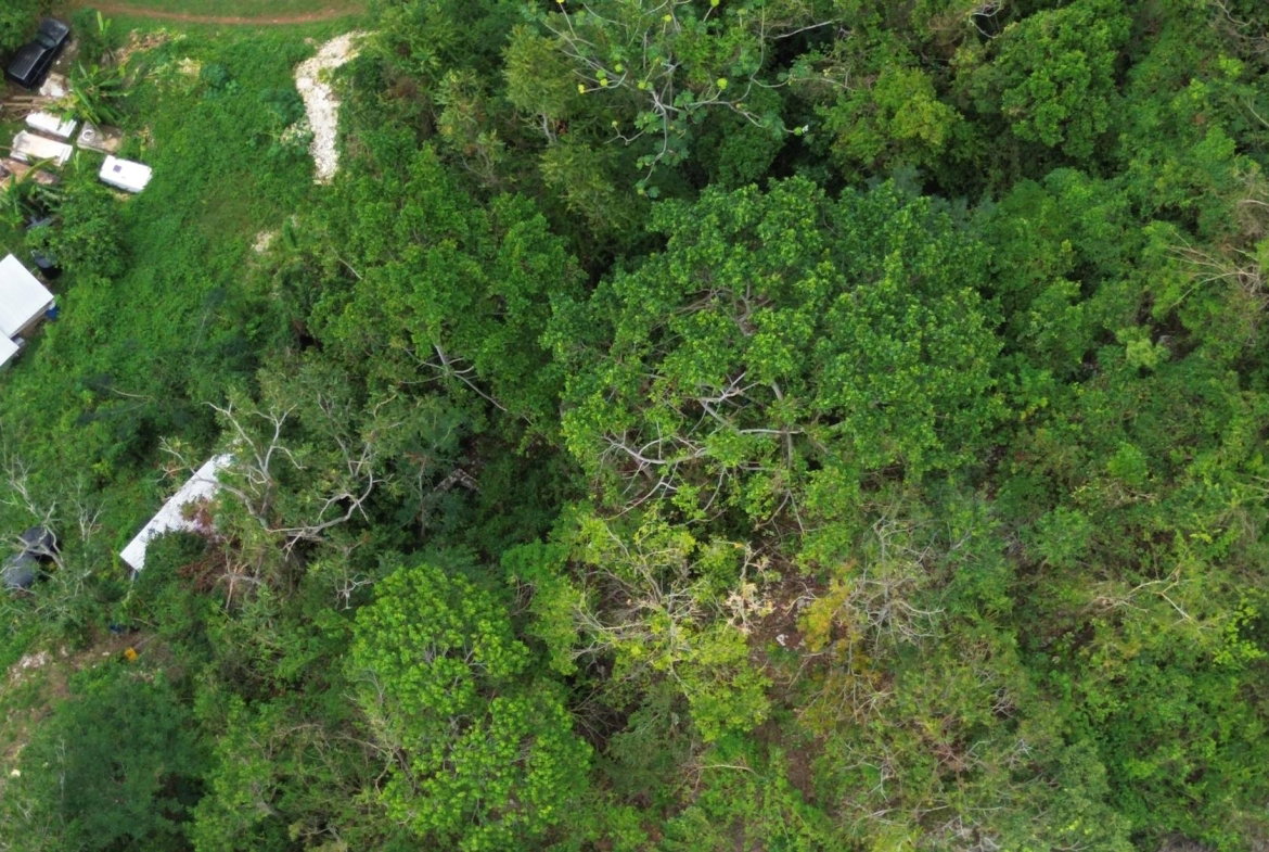 Second image of Cypress Hall, Red Hills in Red Hills, St. Andrew, Jamaica - property is For Sale