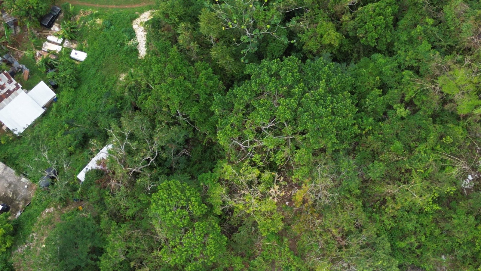 Residential-Lot-For-Sale-in-Cypress-Hall-Red-Hills-St.-Andrew-Panoramic-Kingston-Views Second image of Cypress Hall, Red Hills in Red Hills, St. Andrew, Jamaica - property is For Sale