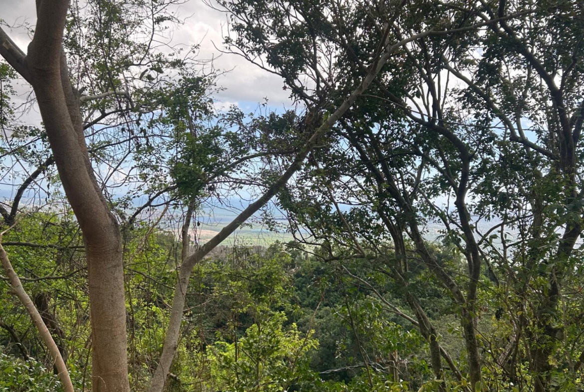 Fifth image of Cypress Hall, Red Hills in Red Hills, St. Andrew, Jamaica - property is For Sale