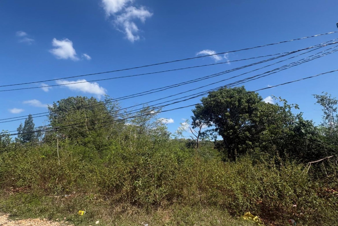 Fourth image of 138 Part of Naseberry Grove, in Naseberry Grove, St. Catherine, Jamaica - property is For Sale