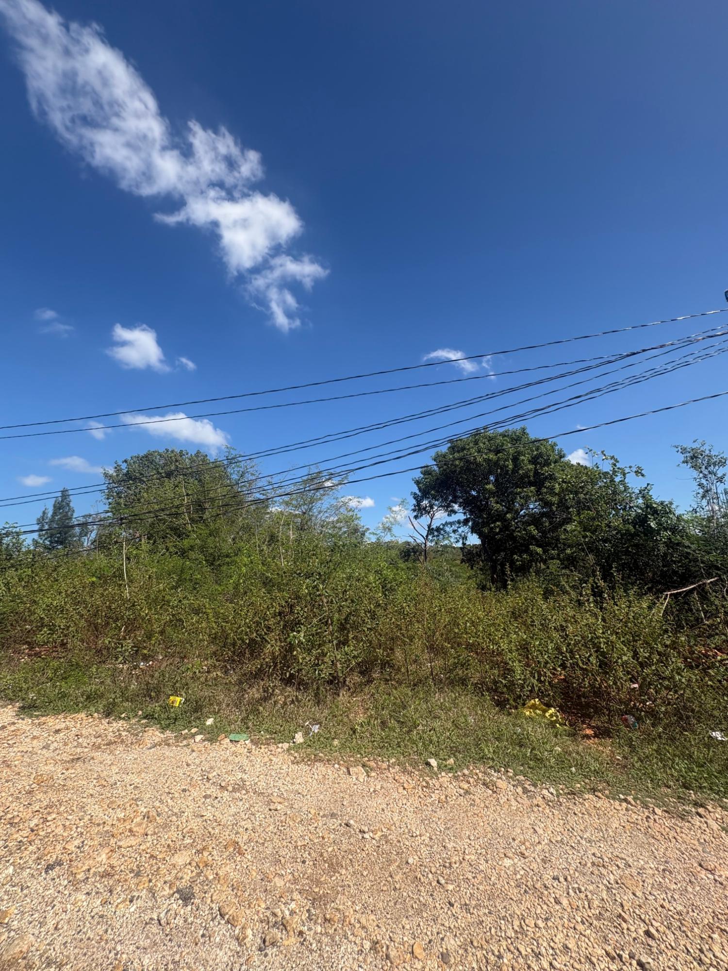 Residential-Lot-For-Sale-in-Naseberry-Grove-St.-Catherine-138-Part-of-Naseberry-Grove Fourth image of 138 Part of Naseberry Grove, in Naseberry Grove, St. Catherine, Jamaica - property is For Sale