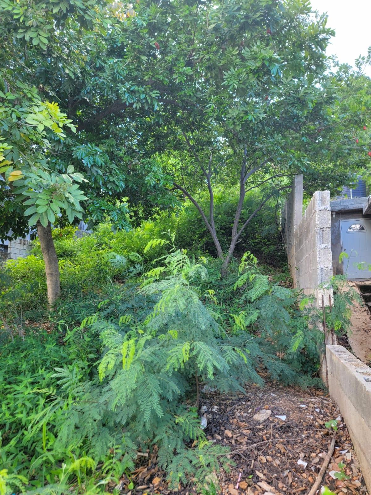 Second image of 15b Kingfisher Close, Old Har in Old Harbour, St. Catherine, Jamaica - property is For Sale