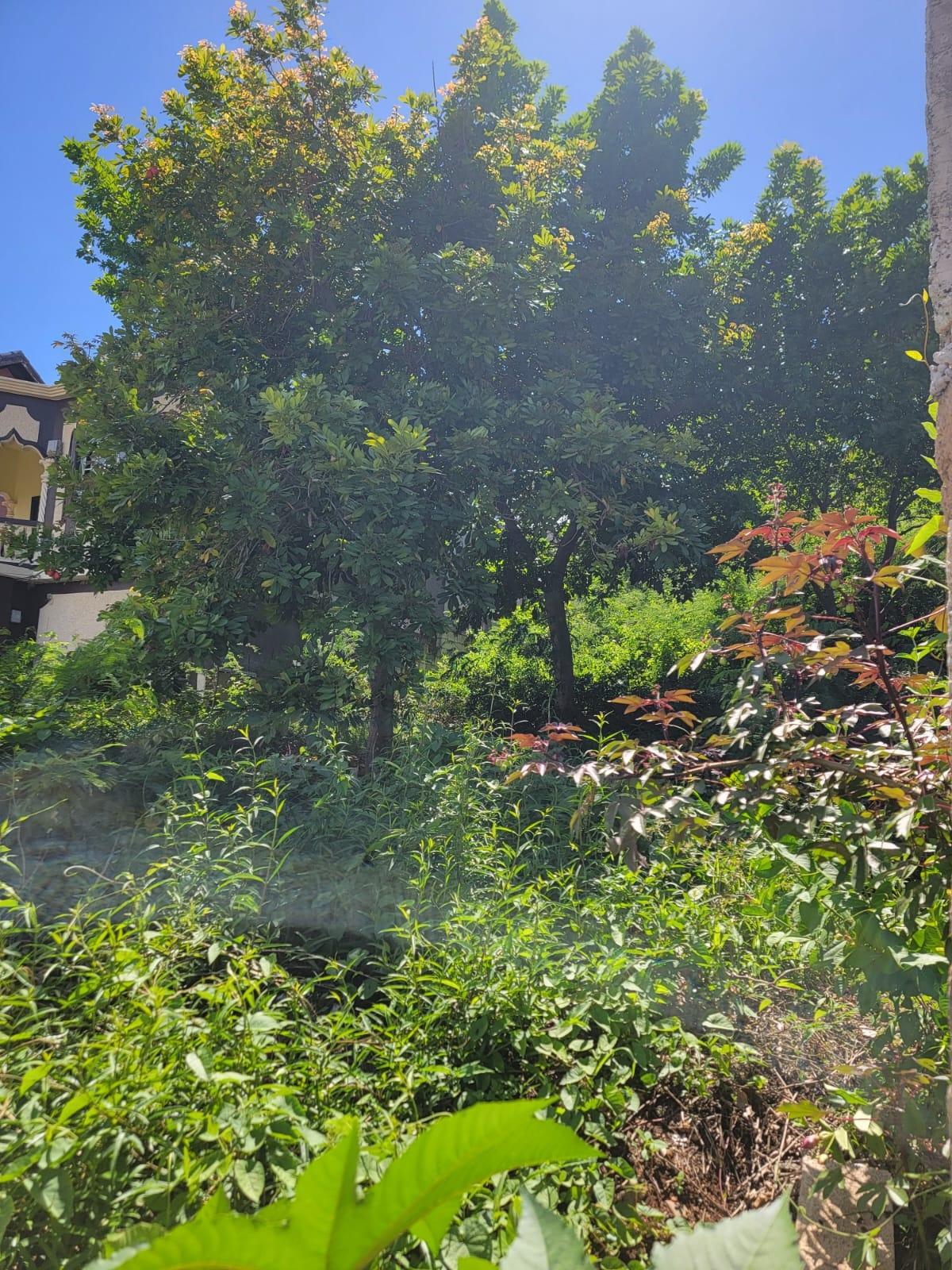 Fourth image of 15b Kingfisher Close, Old Har in Old Harbour, St. Catherine, Jamaica - property is For Sale