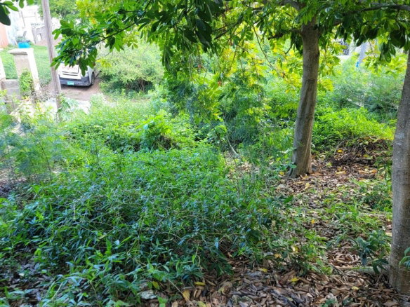 First image of 15b Kingfisher Close, Old Har in Old Harbour, St. Catherine, Jamaica - property is For Sale