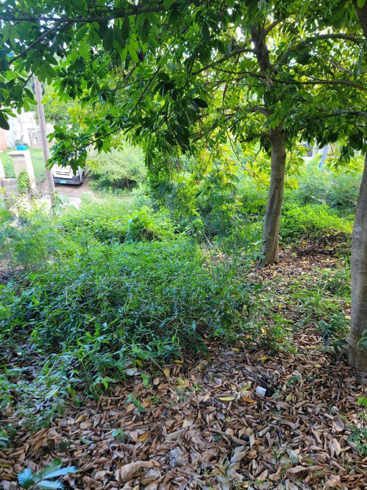 First image of 15b Kingfisher Close, Old Har in Old Harbour, St. Catherine, Jamaica - property is For Sale