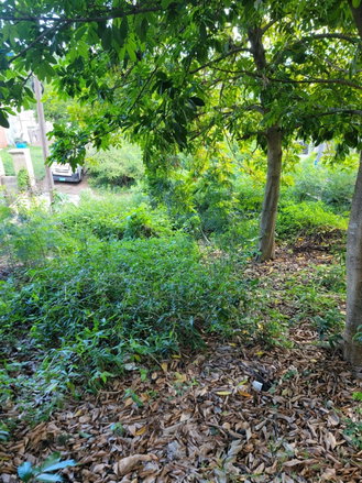 First image of 15b Kingfisher Close, Old Har in Old Harbour, St. Catherine, Jamaica - property is For Sale