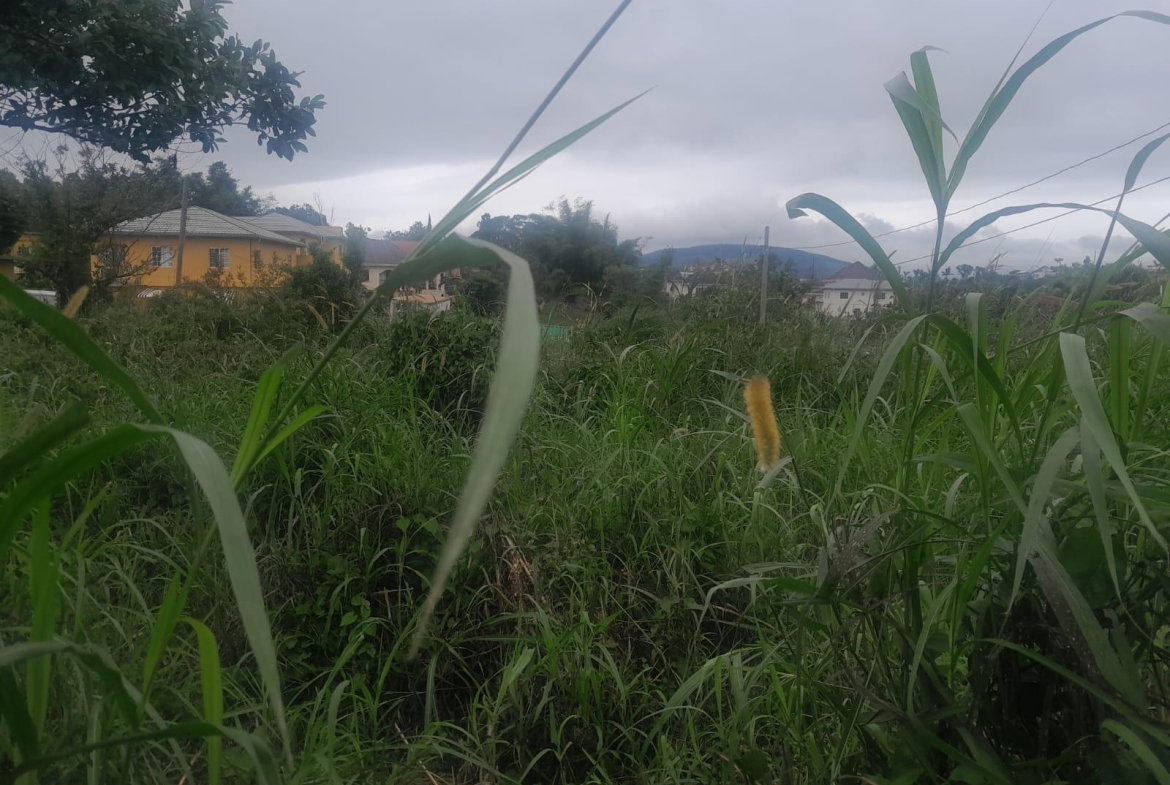 Fifth image of 4 Knowles Road, Brumalia in Brumalia, Manchester, Jamaica - property is For Sale