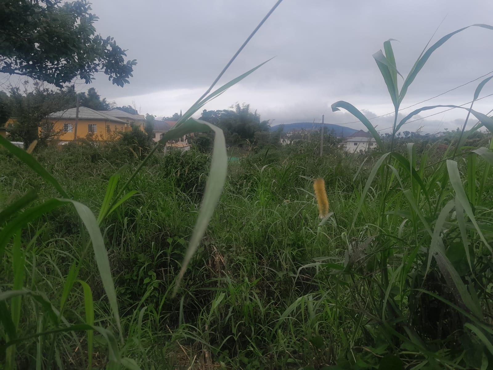 Fifth image of 4 Knowles Road, Brumalia in Brumalia, Manchester, Jamaica - property is For Sale
