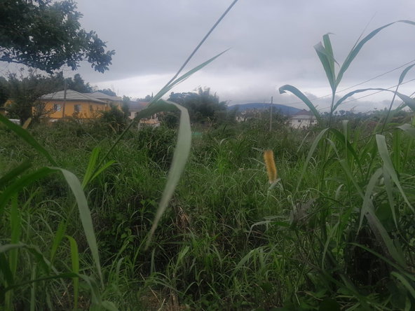 Fifth image of 4 Knowles Road, Brumalia in Brumalia, Manchester, Jamaica - property is For Sale