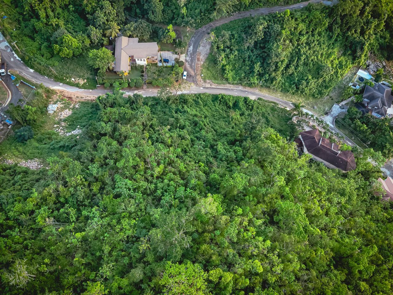 Residential-Lot-for-Sale-at-59-Montgomery-Drive-Stony-Hill-St.-Andrew-One-Third-Acre-with-Mountain-and-Partial-Sea-Views Third image of 59 Montgomery Drive in Kingston 9, St. Andrew, Jamaica - property is For Sale