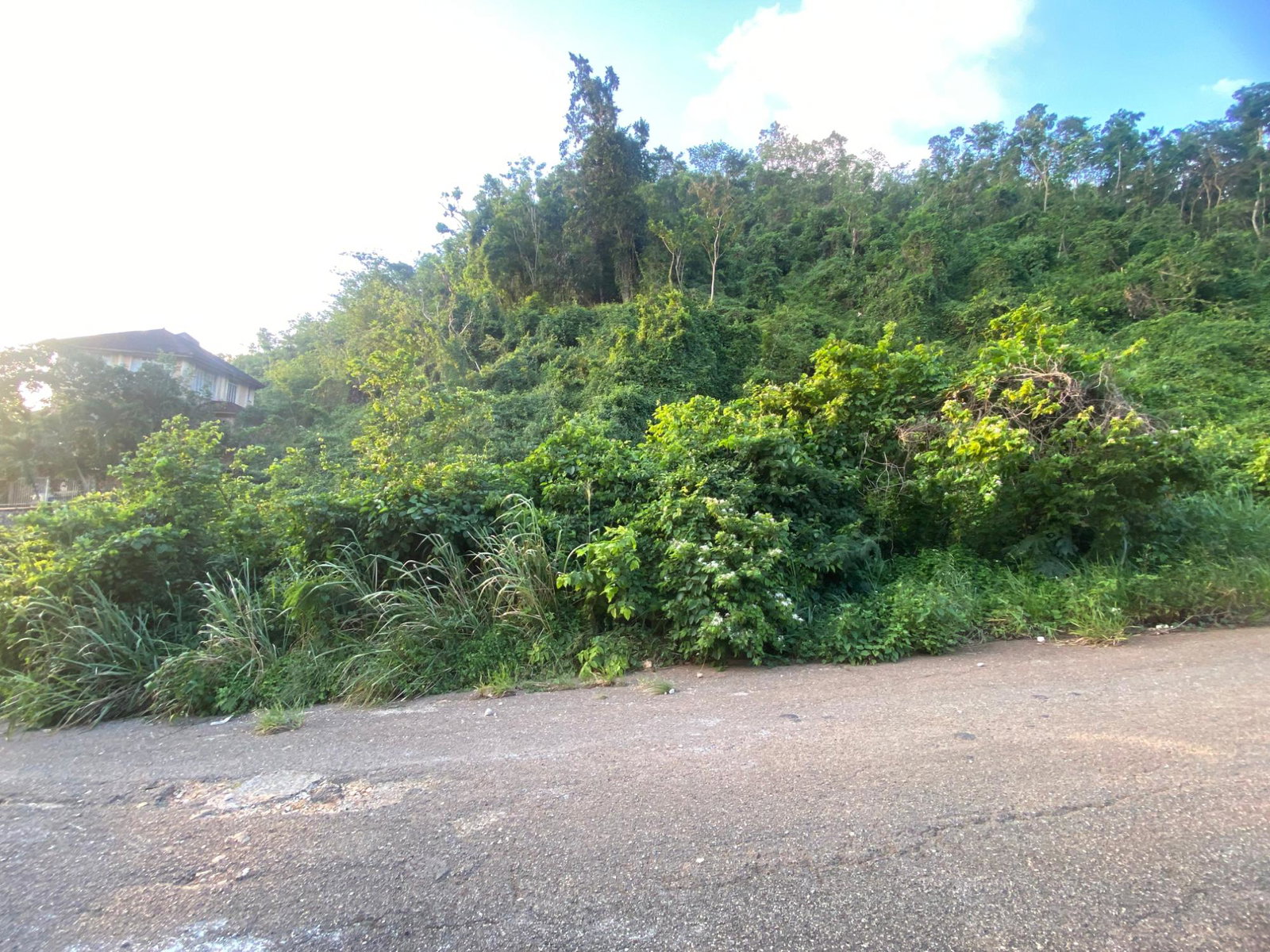 Residential-Lot-for-Sale-at-59-Montgomery-Drive-Stony-Hill-St.-Andrew-One-Third-Acre-with-Mountain-and-Partial-Sea-Views Fifth image of 59 Montgomery Drive in Kingston 9, St. Andrew, Jamaica - property is For Sale