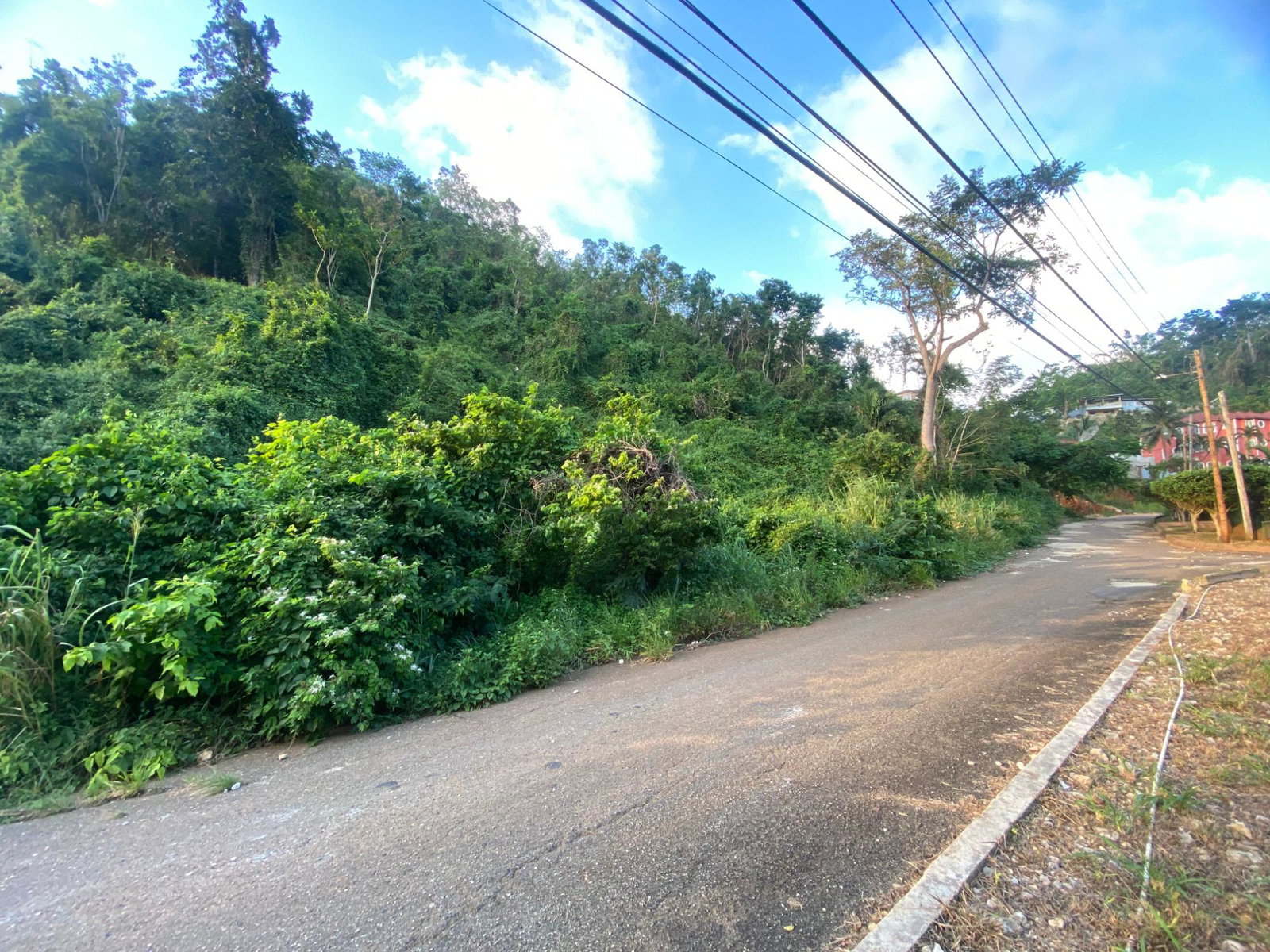 Residential-Lot-for-Sale-at-59-Montgomery-Drive-Stony-Hill-St.-Andrew-One-Third-Acre-with-Mountain-and-Partial-Sea-Views Sixth image of 59 Montgomery Drive in Kingston 9, St. Andrew, Jamaica - property is For Sale