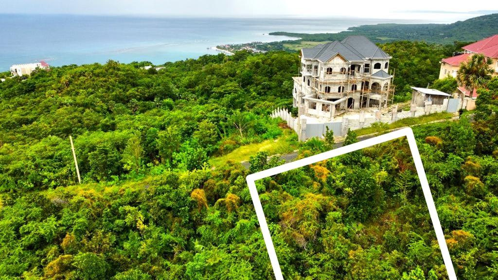Eleventh image of 378 Culloden in White House WD, Westmoreland, Jamaica - property is For Sale
