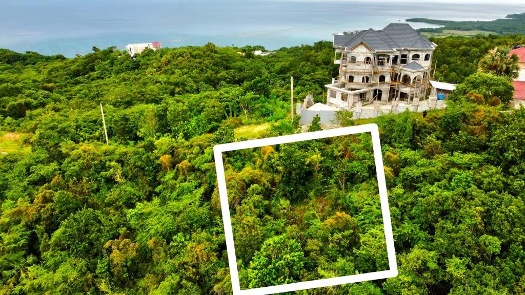 Thirteenth image of 378 Culloden in White House WD, Westmoreland, Jamaica - property is For Sale
