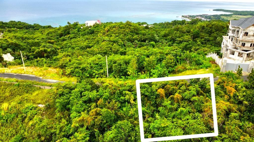 Fifteenth image of 378 Culloden in White House WD, Westmoreland, Jamaica - property is For Sale