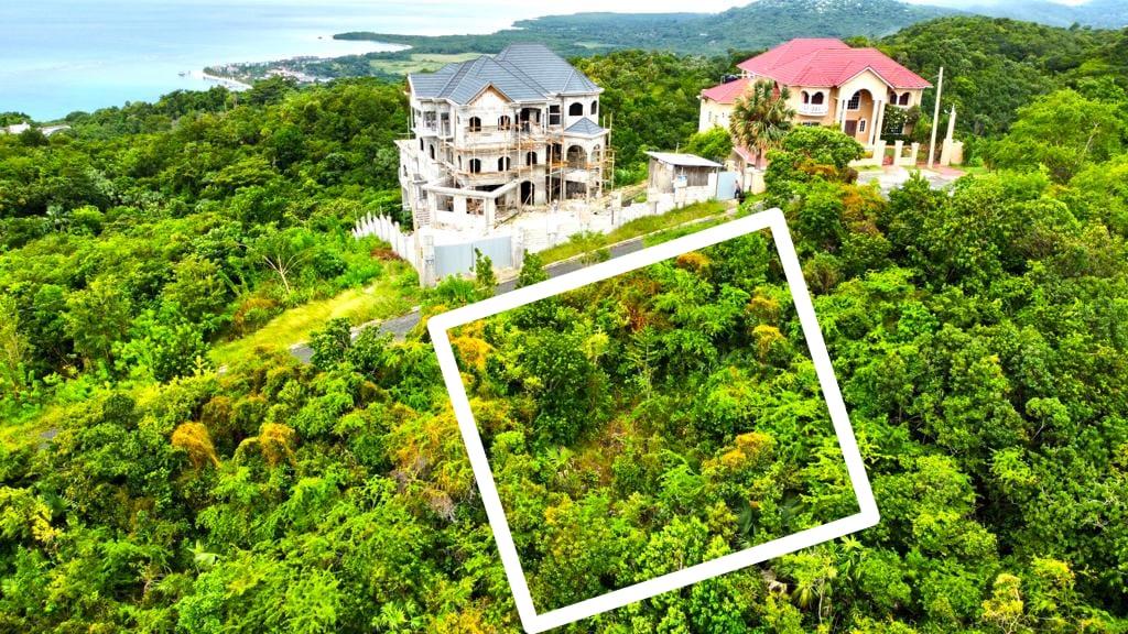 Sixteenth image of 378 Culloden in White House WD, Westmoreland, Jamaica - property is For Sale