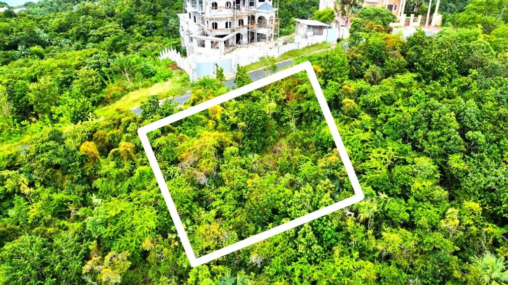 Seventeenth image of 378 Culloden in White House WD, Westmoreland, Jamaica - property is For Sale