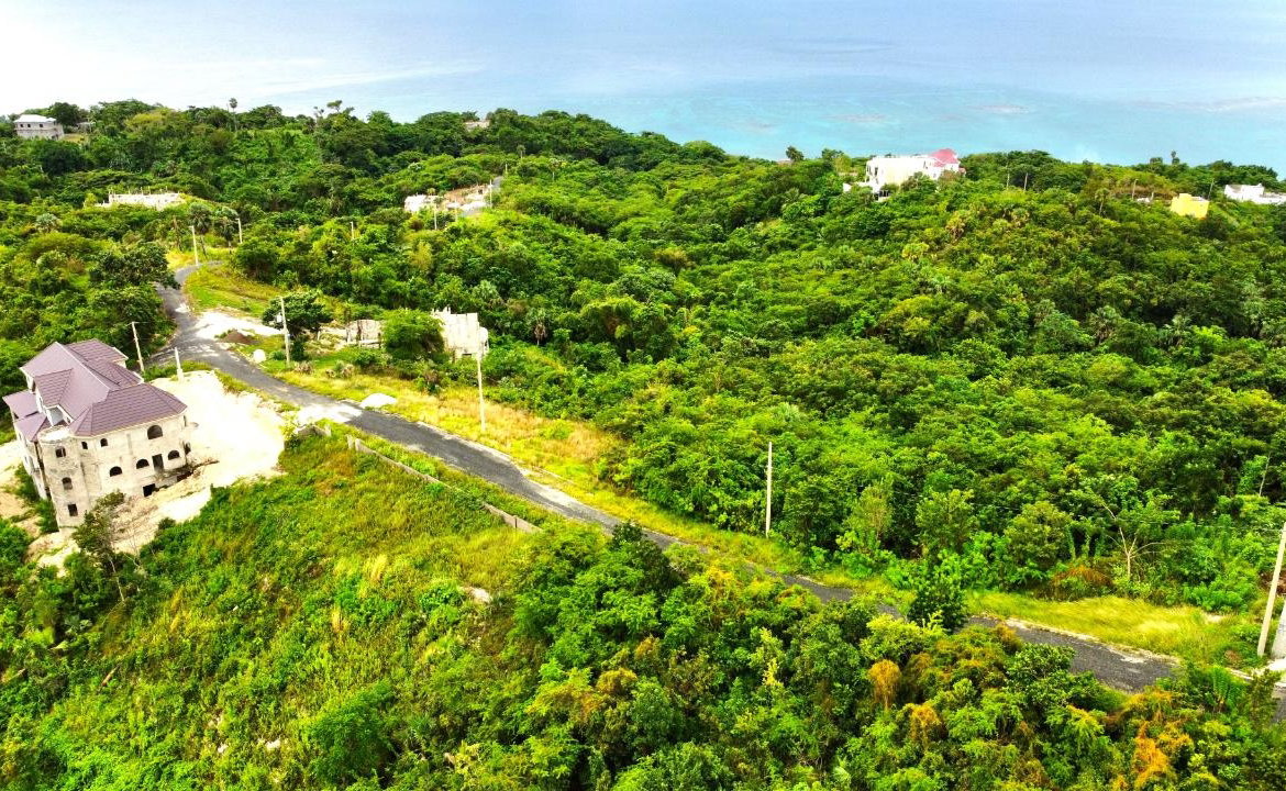 Seventh image of 378 Culloden in White House WD, Westmoreland, Jamaica - property is For Sale