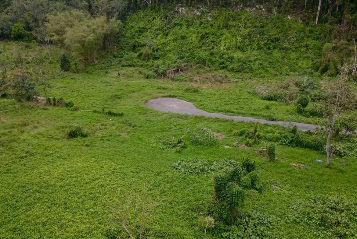 Third image of 2- Part of Belair in Bellefield, Manchester, Jamaica - property is For Sale