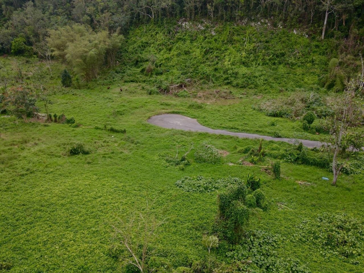 Residential-Lot-for-Sale-in-Belair-Manchester-Jamaica-–-Spacious-Quarter-Acre-Near-Mandeville Third image of 2- Part of Belair in Bellefield, Manchester, Jamaica - property is For Sale
