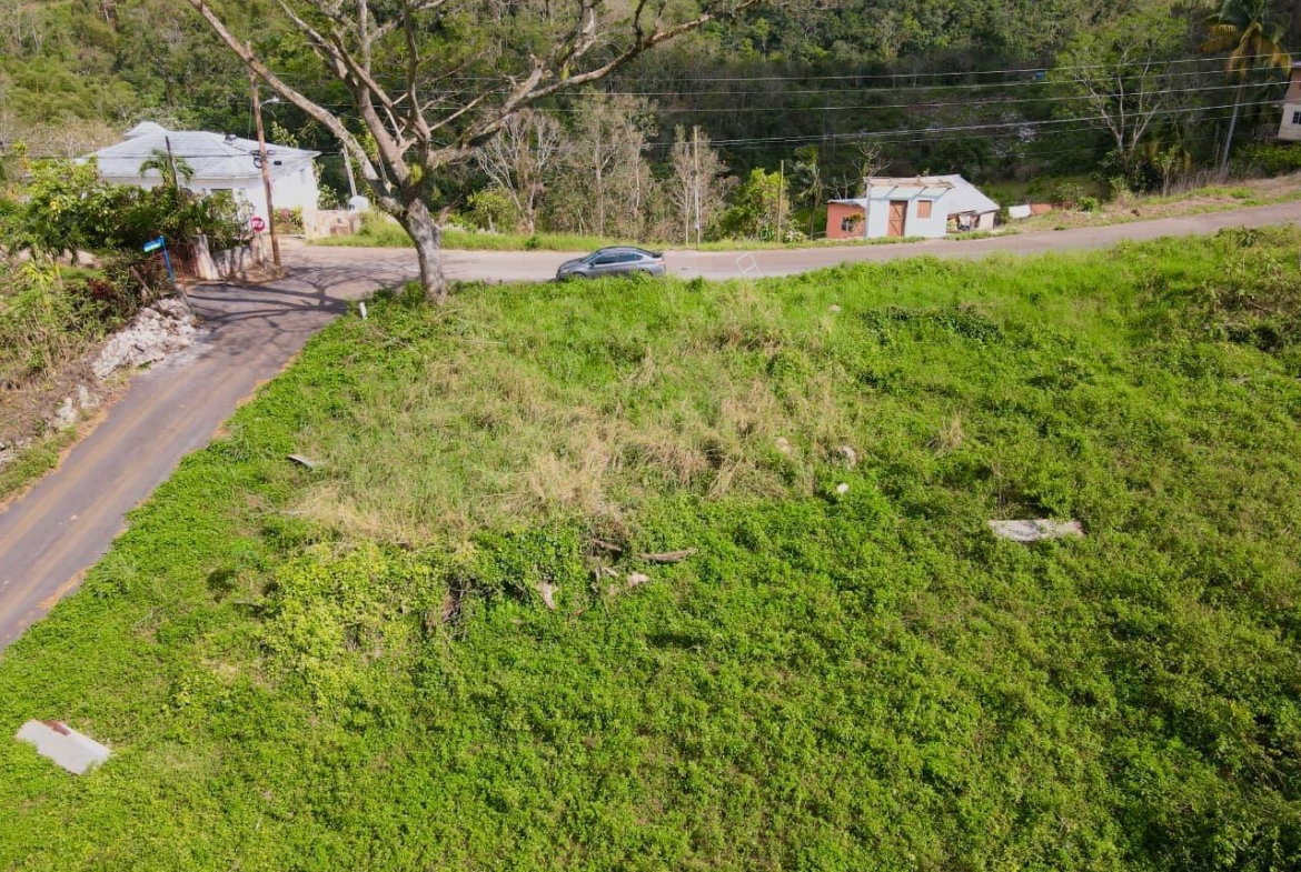 Second image of Lot 1- Part of Belair in Bellefield, Manchester, Jamaica - property is For Sale