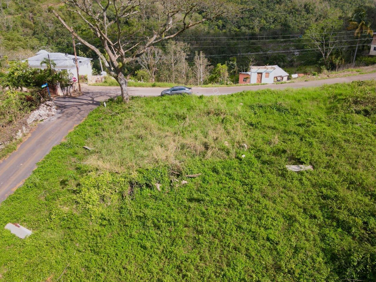 Second image of Lot 1- Part of Belair in Bellefield, Manchester, Jamaica - property is For Sale