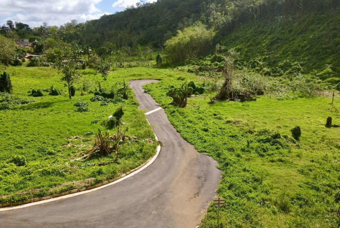 Third image of Lot 1- Part of Belair in Bellefield, Manchester, Jamaica - property is For Sale