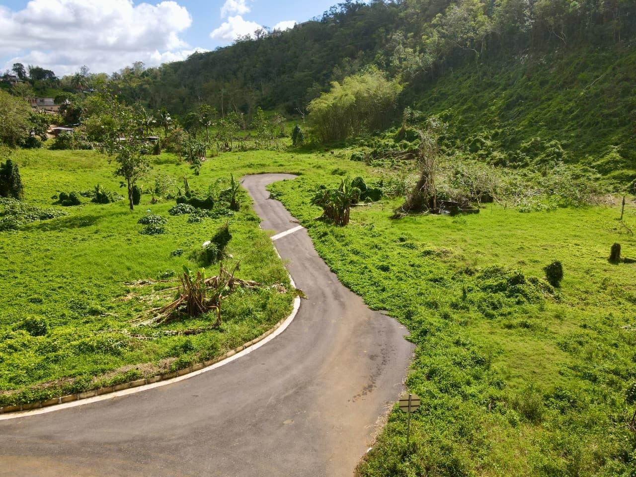 Third image of Lot 1- Part of Belair in Bellefield, Manchester, Jamaica - property is For Sale