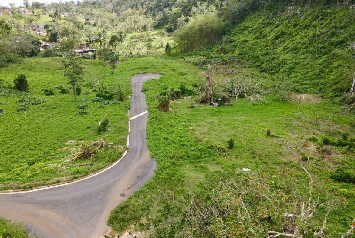 Fourth image of Lot 1- Part of Belair in Bellefield, Manchester, Jamaica - property is For Sale