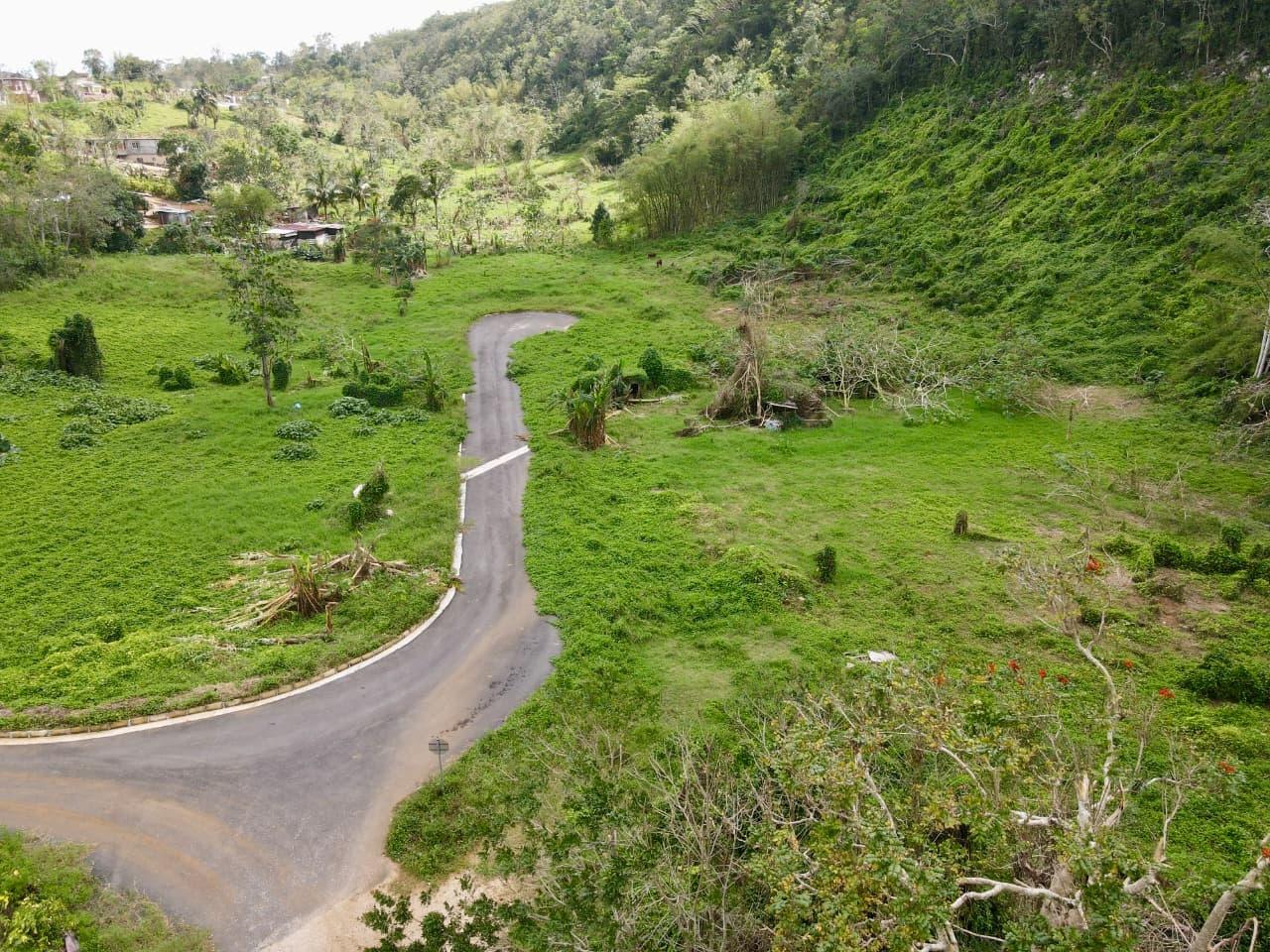 Fourth image of Lot 1- Part of Belair in Bellefield, Manchester, Jamaica - property is For Sale