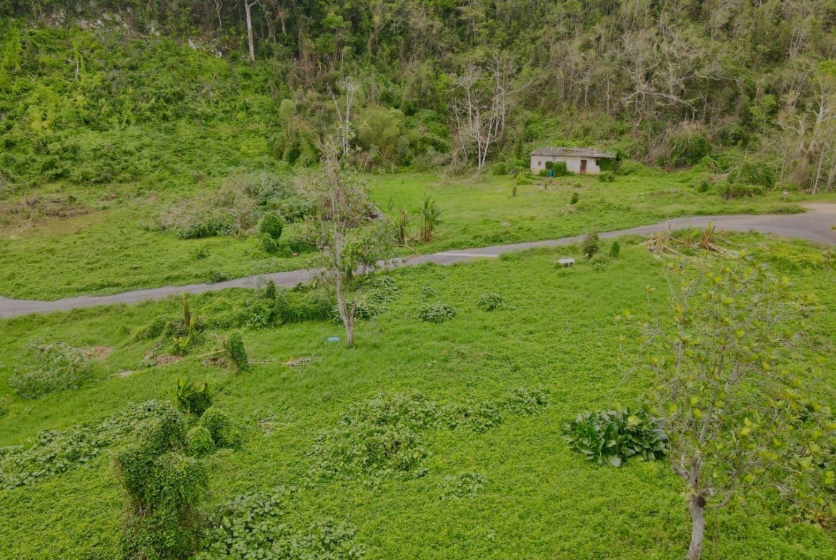 Fifth image of Lot 1- Part of Belair in Bellefield, Manchester, Jamaica - property is For Sale