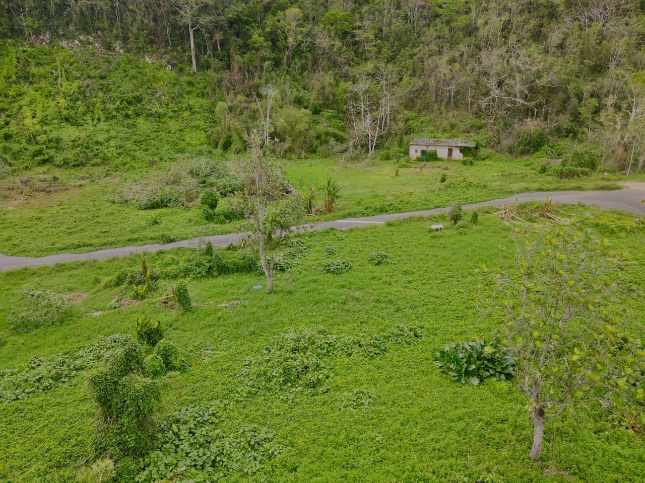 Fifth image of Lot 1- Part of Belair in Bellefield, Manchester, Jamaica - property is For Sale