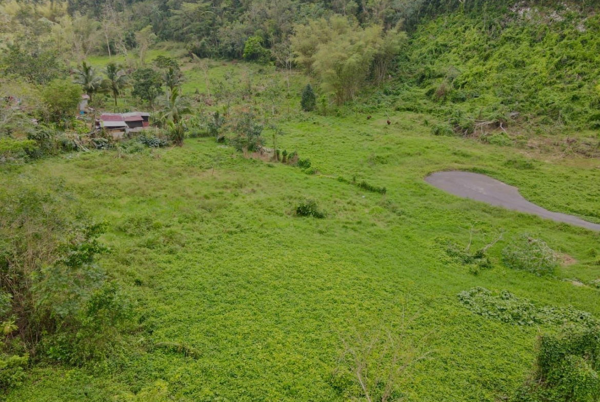 Sixth image of Lot 1- Part of Belair in Bellefield, Manchester, Jamaica - property is For Sale