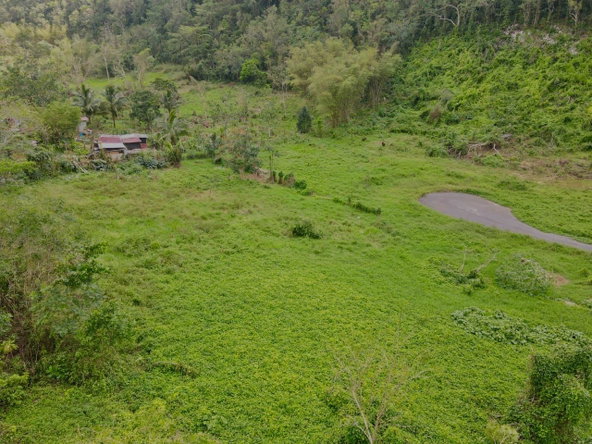 Sixth image of Lot 1- Part of Belair in Bellefield, Manchester, Jamaica - property is For Sale