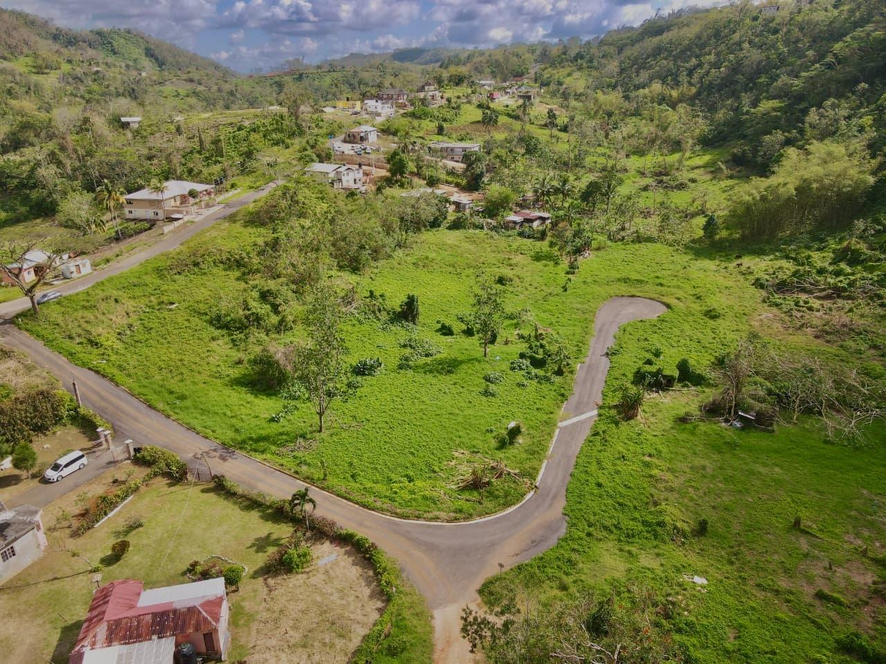 Second image of Lot 3- Bellefield, Manchester in Bellefield, Manchester, Jamaica - property is For Sale