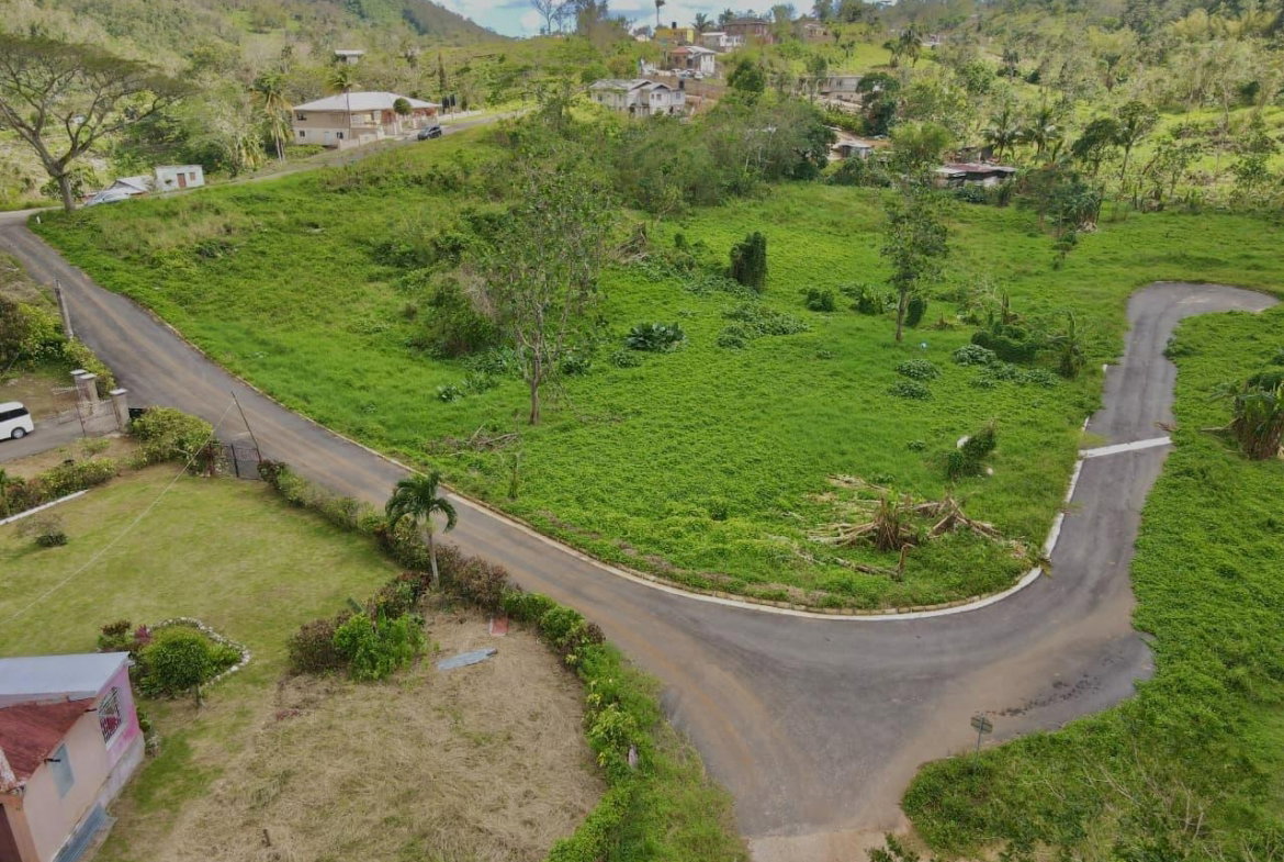 Third image of Lot 3- Bellefield, Manchester in Bellefield, Manchester, Jamaica - property is For Sale