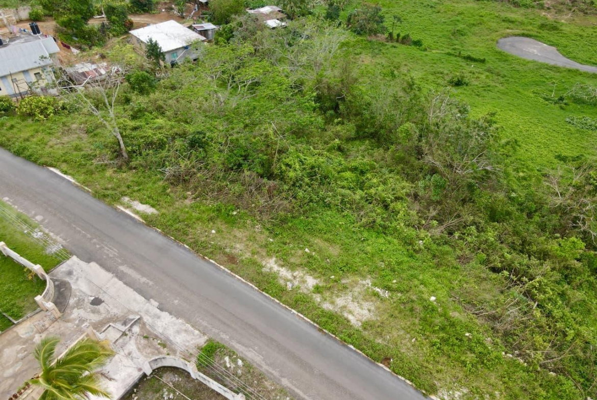 Fourth image of Lot 3- Bellefield, Manchester in Bellefield, Manchester, Jamaica - property is For Sale