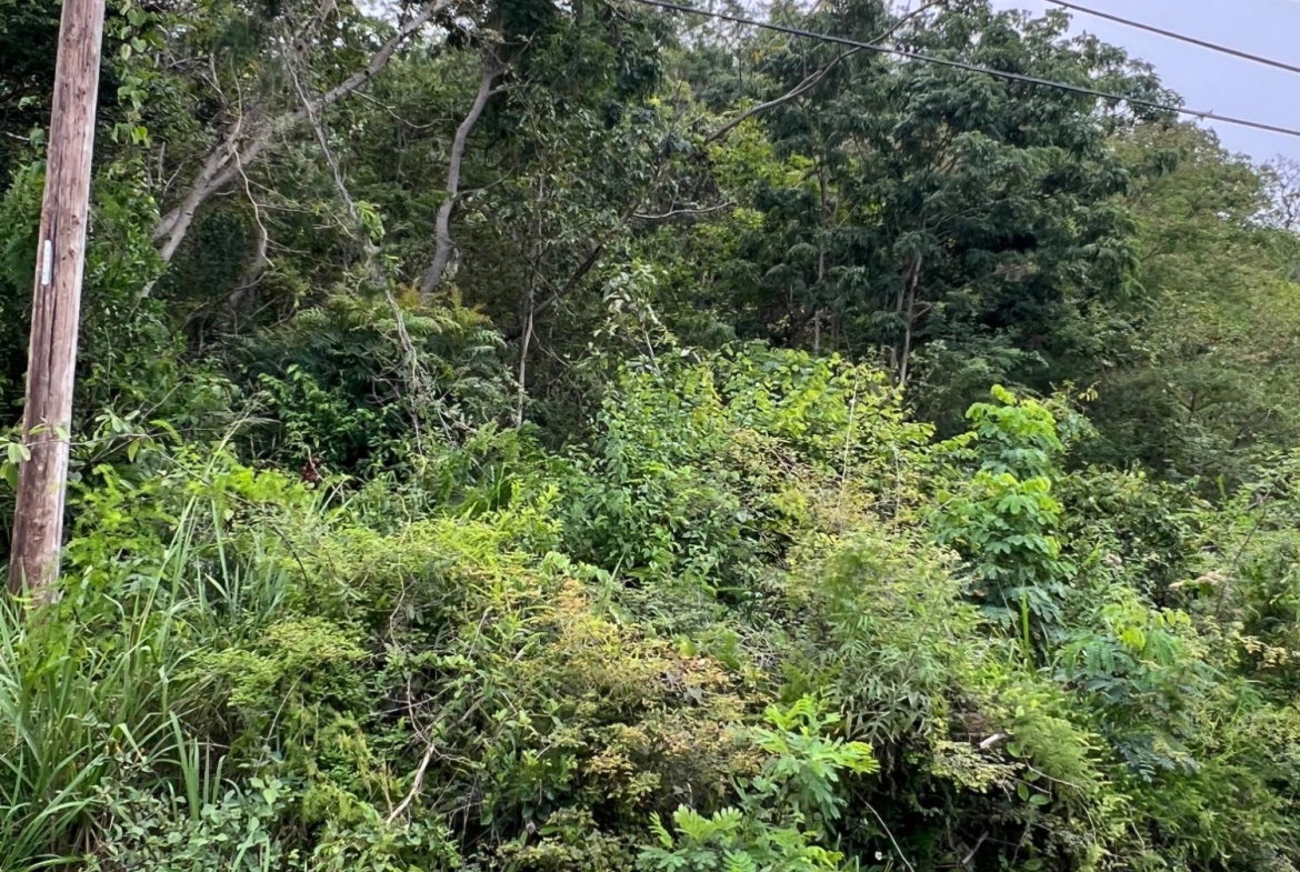 Eighteenth image of 148 Cyprus Hall Road, Belvede in Kingston 19, St. Andrew, Jamaica - property is For Sale